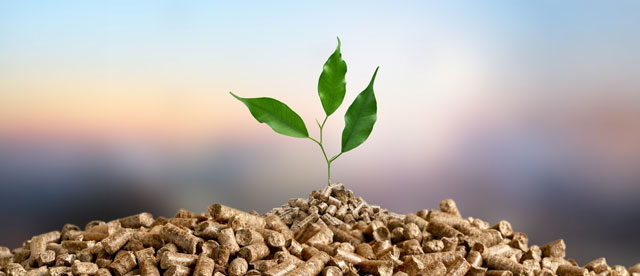 Holzpellets und Biomasse